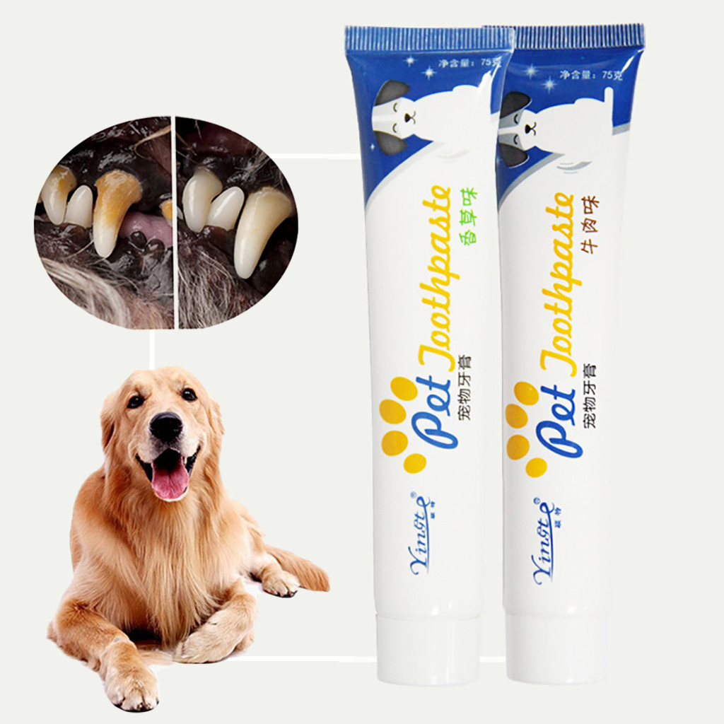 Pet Dog Toothpaste Beef Taste Toothpaste Dog Healthy Edible Toothpaste For Finger Tooth Back Up Brush Pet Teeth Care Supplies#g