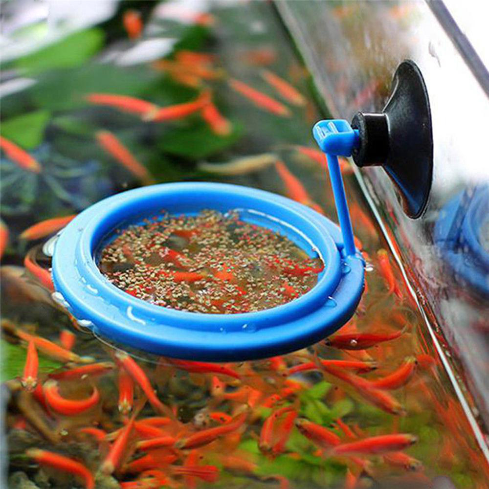 Aquarium Feeding Ring Fish Tank Station Floating Food Tray Feeder Square Circle Accessory Water Plant Buoyancy Suction Cup 2