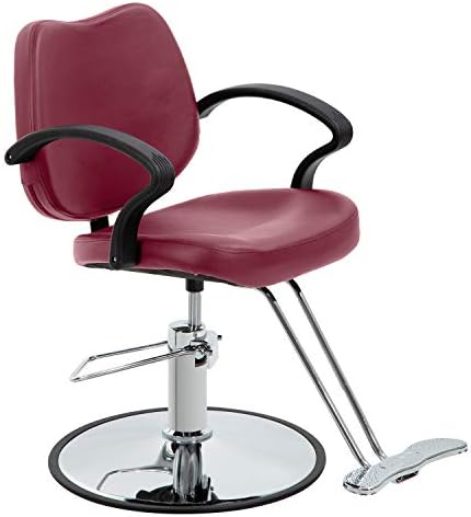 Styling Heavy Duty Hydraulic Pump Beauty Shampoo Barbering Chair for Hair Stylist Women Man Salon Equipment,Burgundy